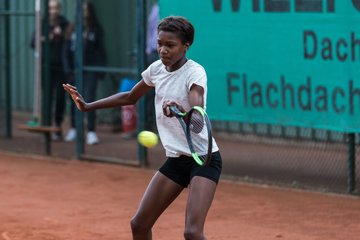 Noma Noha Akugue 361 - Rosenpokal Uetersen